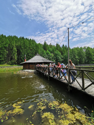 MicrosoftTeams-image (5)